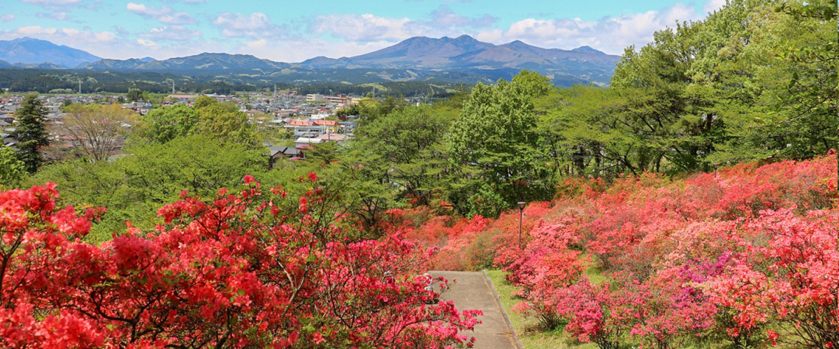 栃木県矢板市 齋藤淳一郎市長